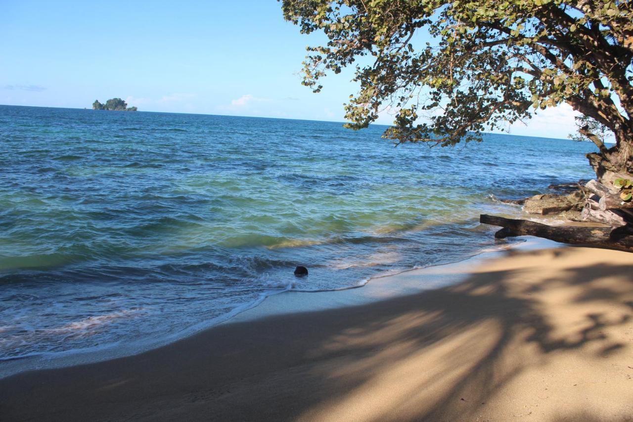 Bird Island Bungalows Bocas del Toro Esterno foto