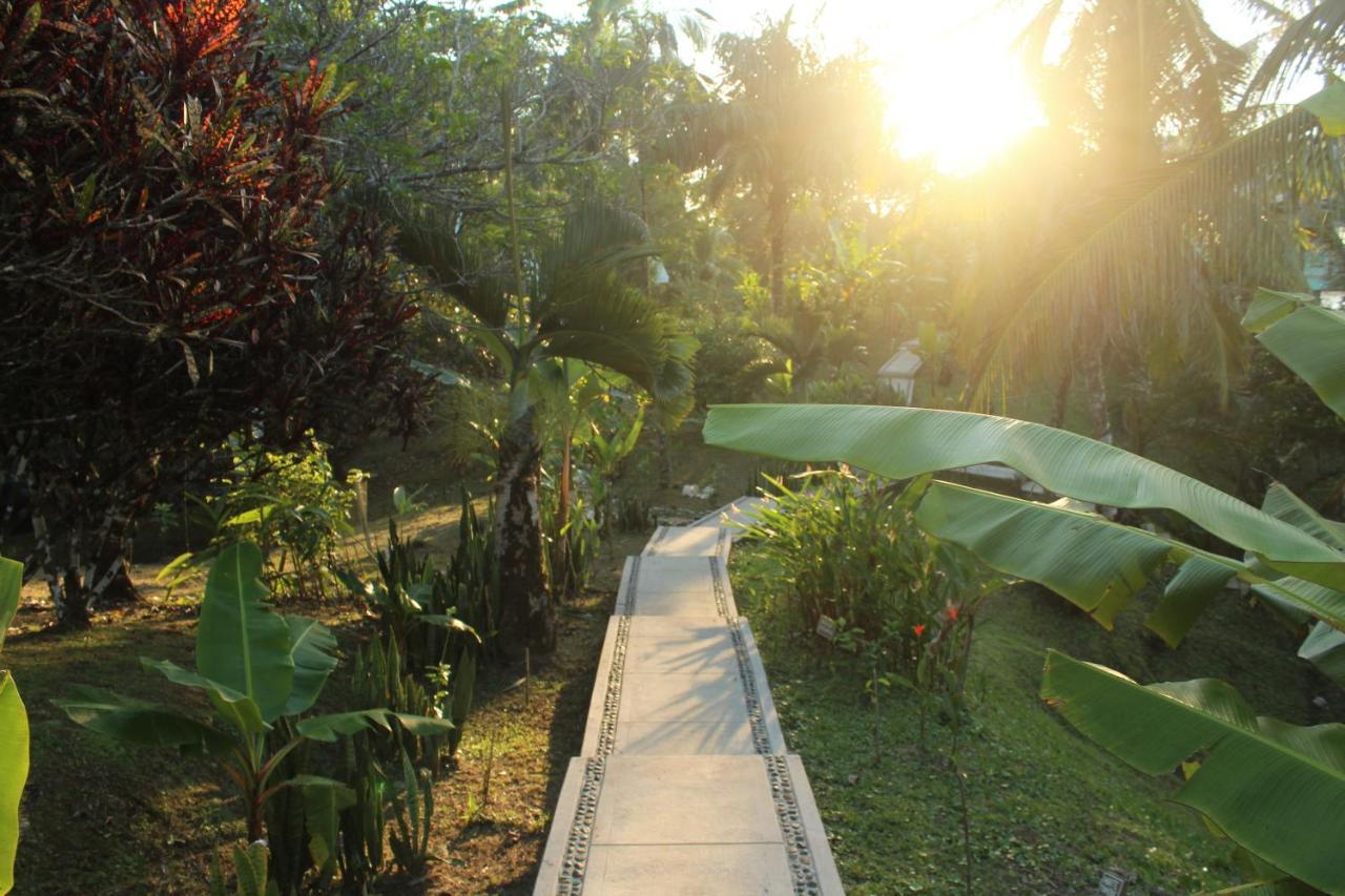 Bird Island Bungalows Bocas del Toro Esterno foto