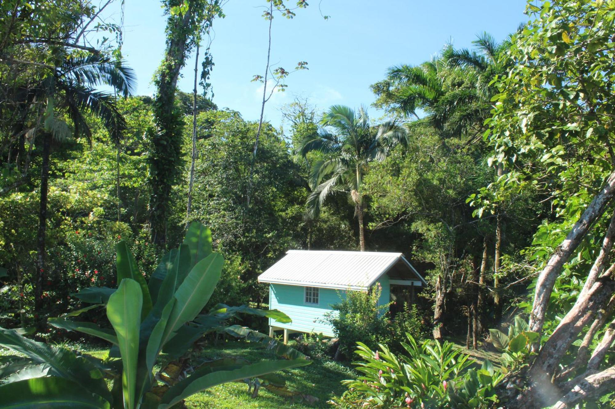 Bird Island Bungalows Bocas del Toro Camera foto